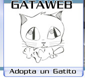 gataweb.jpg